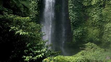 Wall Mural - Closeup tripod footage of Fiji waterfall Lemukih on sunny day. Sekumpul, Bali, Indonesia.