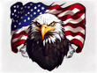 Eagle with USA flag logo design