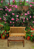 Fototapeta Lawenda - Garden  with climbing rose and chair.