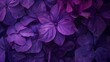 Close up of a purple flowers with raindrops, Deep dark ultra violet flowers with dewdrops, AI generated