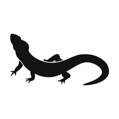Salamander Silhouette