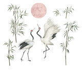 Fototapeta Kwiaty - Watercolor collection with cranes, flower bamboo and moon. Japanese design. Hand drawn isolated illustration on white background