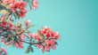 Beautiful spring pink flowers close up on a blue background. Piękne wiosenne różowe kwiaty z bliska na niebieskim tle.