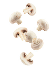 Wall Mural - Falling champignon, mushroom, isolated on white background, full depth of field