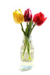 a glass vase with a bouquet of three tulips and water and a white background