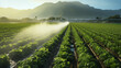 Field irrigation systems. Problems of irrigation and fertilization of agricultural lands.