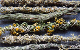 Fototapeta  - Slavic natural herbal incense wands