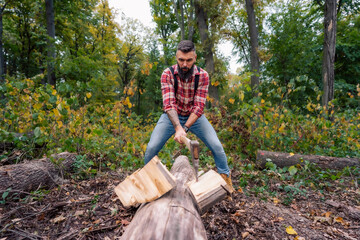 Wall Mural - A young Caucasian lumberjack energetically chopping wood with an axe in the forest.