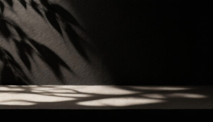 Wall Mural - abstract studio black background for product presentation. empty room with shadows of window and flo