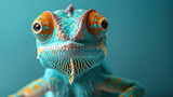 Fototapeta Miasta - A beautiful chameleon on a green background