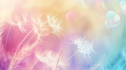 Leinwandbilder - Generative AI : Soft abstract gradient background, abstract dandelion