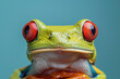 Closeup on a colorful tree frog isolated on a green background