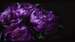 Generative AI : Beautiful Violet peonies bouquet on black. Floral background. Natural flowers pattern.