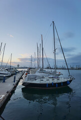 Wall Mural - Moored yachts and boats after sunset in the harbor.