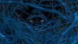  a close up of a black cat peeking out from behind a pile of dry grass with a blue tint.