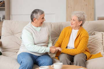 Poster - Senior female friends holding hands on sofa at home