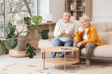 Canvas Print - Senior female friends drinking tea on sofa at home