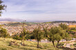 Fez, Morocco - March 17, 2024: Panoramic view of the medina of Fez from Borj Nord in Morocco
