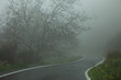 Dangerous mountain road during severe weather conditions with fog and rain in spring. 