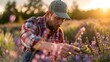 © Oleksandr Kozak - An agronomist in a lavender field, examining lavender plants, captured during sunset