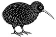 kiwi bird silhouette vector illustration