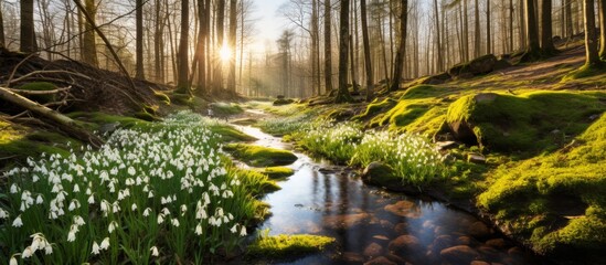 Sticker - A peaceful stream meanders through a lush forest, bordered by colorful flowers and velvety moss under the morning sunlight, creating a serene natural landscape