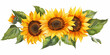 Sunflowers bouquet. View from above. Background with copy space