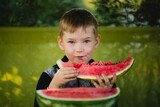 Fototapeta  - A little boy eats a watermelon.