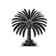 date palm trees Hand drawn vector