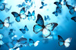 many flying blue butterflies on a sky background. insects. Flora and fauna