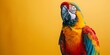 Colorful Parrot Mimicking Sounds and Conversing in Vibrant Studio Setting