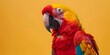 Colorful Parrot Mimicking Sounds in Studio with Copy Space