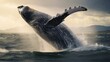 nature s translators decoding whale songs
