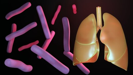 Wall Mural - 3d rendering of Mycobacterium tuberculosis, bacteria that causes tuberculosis (TB) and human lungs