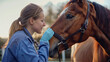 treatment vet on a horse
