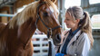 treatment vet on a horse