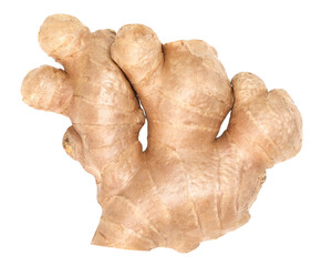 Canvas Print - Close-up, Fresh ginger rhizome isolated, transparent PNG, PNG format, cut out