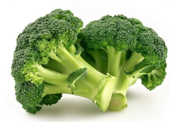 Wall Mural - A large green broccoli head sits on a white background