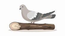 Gray Dove Stand On The Log Vector Illustration Flat Vector