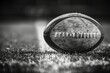 Rugby ball resting on the infield line, the contrast of its stitching and white chalk encapsulating the spirit of the sport.