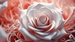 バラ 薔薇 花 植物 白 ピンク, generative ai