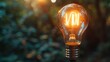 Innovation: A lightbulb symbolizing a new idea or innovation