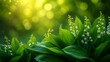 Beautiful lily of the valley on green bokeh background