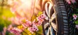 Spring and automotive concept. Close-up of a car tire surrounded by blooming pink flowers, highlighting the contrast between technology and nature.
