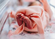 © Cavan Images - Close up of newborn baby girl's tiny feet and toes