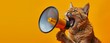 Cat with a megaphone on a vivid orange background. Concept of a feline holding a loudspeaker, capturing the action of making an announcement with a humorous twist