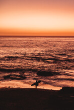 Silhouette Of Surfer Walking On The Beach At Dusk