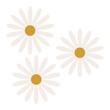 © Mana - Daisy Flowers Element Illustration