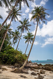 Fototapeta  - Rajska plaża z palmami