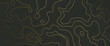 Luxury gold abstract line art background vector. Mountain topographic terrain map background with gold lines texture. Design illustration for wall art, fabric, packaging, web, banner, app, wallpaper.